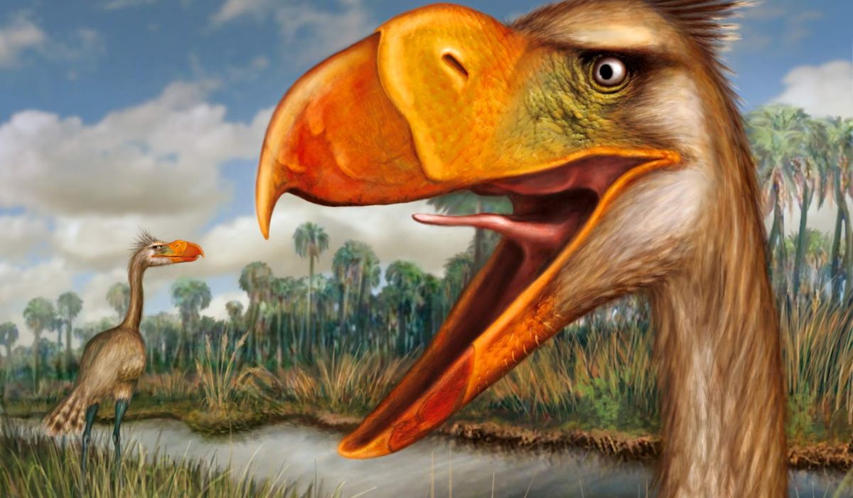 The Fascinating World of the Terror Bird: Nature’s Ancient Predator