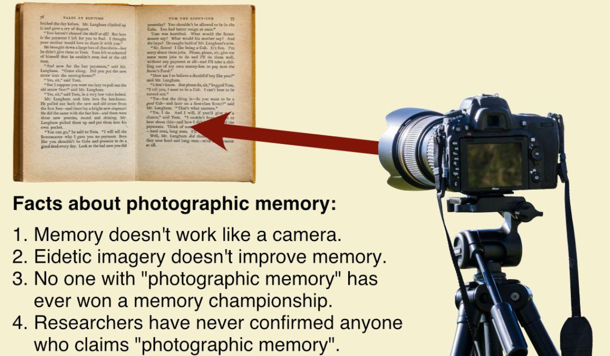 Is Photographic Memory Real? Scientific Truth, Myths, and Memory Explained