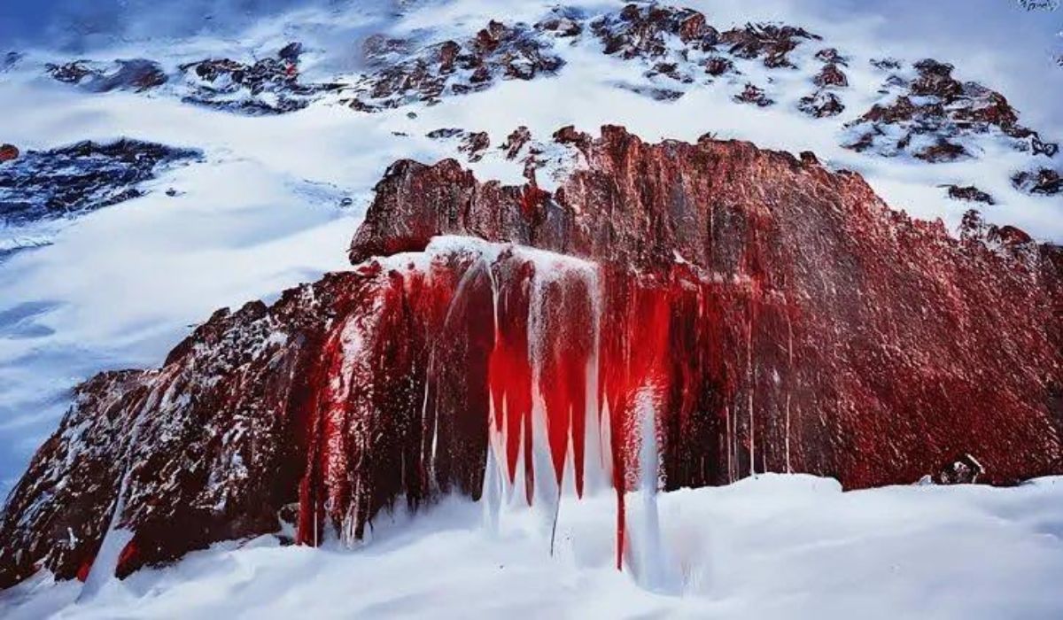 Blood Falls Antarctica Explained: Science, Origins, and Subglacial Mystery of the Red Glacier Waterfall